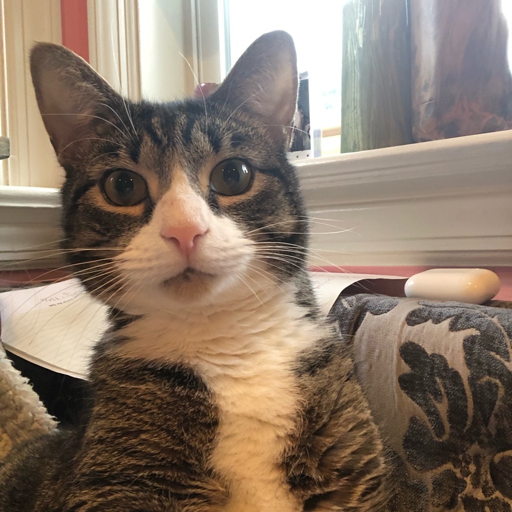 Meet your Posher, Keri